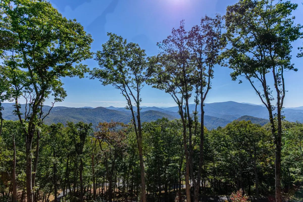 A breathtaking panoramic view of the Blue Ridge Mountains and dense forest under a clear blue sky. The expanse invites outdoor activities like hiking, bird watching, and picnicking, creating a sense of adventure and natural beauty right outside the community.
