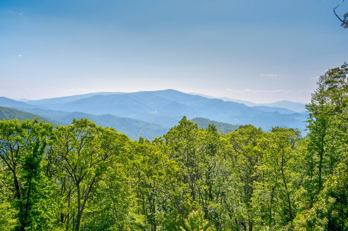 A panoramic view from a summit, revealing a vast mountain range, dense forests, and a clear blue sky. The scene invites possibilities for hiking, nature walks, or simply enjoying the breathtaking scenery.