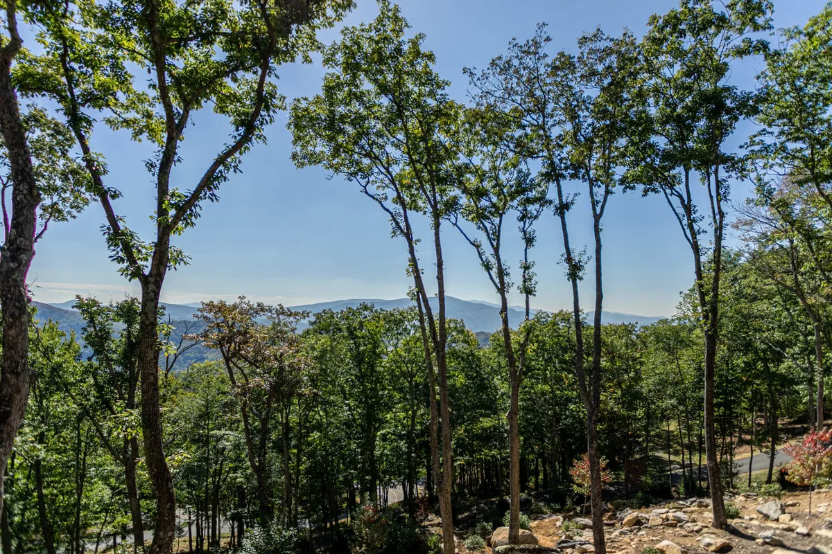 A panoramic view featuring tall trees in the foreground, distant mountains stretching across the horizon, and a vivid blue sky above. The peaceful setting invites outdoor adventure and nature appreciation, with visible trails and dense woodland ideal for activities like hiking, mountain biking, and birdwatching.